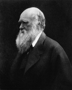 Karol Darwin (Fot. Wikimedia Commons)