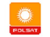 Gugała zawieszony za wywiad z Hofmanem