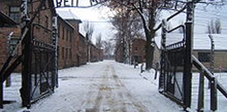 Kontrowersyjny sposób ochładzania turystów odwiedzających Auschwitz-Birkenau - zdjęcie