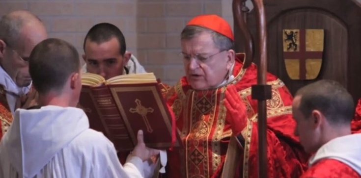Co zrobi Papież? Mocny głos dwóch kardynałów i biskupa - zdjęcie