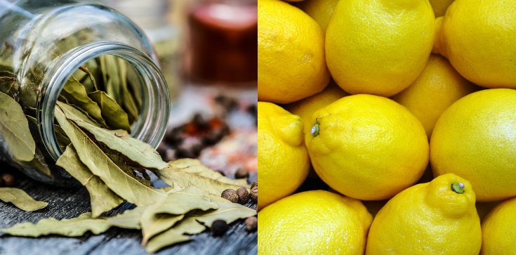 Cytryna i liść laurowy oczyści twoje kości i stawy - zdjęcie