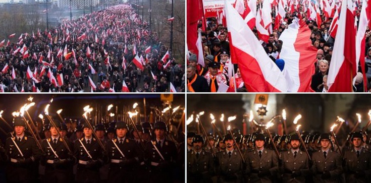 „Pochodnie na Marszu niepodległości to nazizm, a w Niemczech to walka o pokój” - zdjęcie