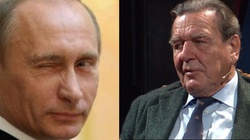 Niemiecki ,,kapciowy’’ Putina, Gerhard Schröder odchodzi z Rosnieft - miniaturka