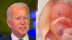 ,,Katolicki’’ prezydent Joe Biden szuka sposobów obejścia zakazu mordowania nienarodzonych - miniaturka
