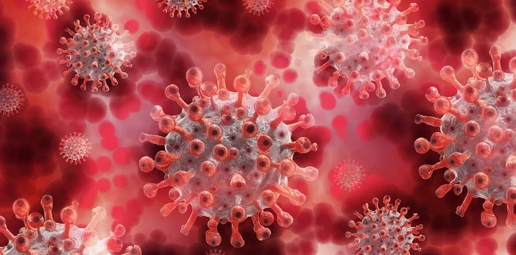 Dwa lata temu zarejestrowano pierwsze przypadki koronawirusa w Europie - zdjęcie