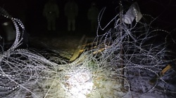 Białoruskie służby znów niszczą ogrodzenie na granicy i rzucają kamieniami w Polaków - miniaturka