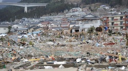 Trzęsienie ziemi w Japonii. Co z elektrownią atomową? - miniaturka