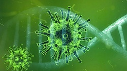 Wirusolog: jesienią koronawirus uderzy ponownie - miniaturka