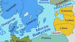 Wiceszef KE: Po Ukrainie Putin uderzy na państwa bałtyckie - miniaturka