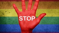Odpowiedź na agresję aktywistów LGBT – pikieta #StopDewiacji w Krakowie już dziś! - miniaturka