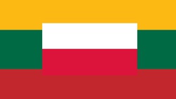 Historyczna chwila na Litwie! Po 30 latach przyjęto ważną dla Polaków ustawę - miniaturka