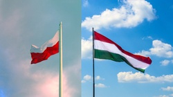 Polska i Węgry. Sprzeczne interesy na wschodzie - miniaturka