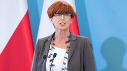 Elżbieta Rafalska: Polska pokazała się jako lider sytuacji kryzysowych - miniaturka
