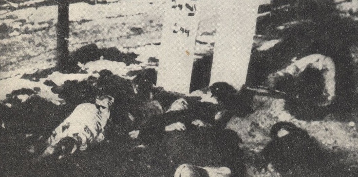 Krwawa Wigilia i jej sprawcy; 1944 | Skansen Studzionki