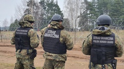 W listopadzie blisko 9 tys. prób nielegalnego przekroczenia polskiej granicy - miniaturka