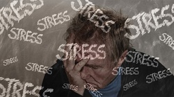 Co dzieje się z organizmem gdy stres staje się największym wrogiem? - miniaturka