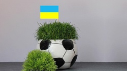 Polska firma będzie wyłącznym partnerem handlowym ukraińskiej reprezentacji narodowej w piłce nożnej! - miniaturka