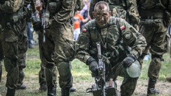 Pentagon: Będziemy współpracować, by Wojsko Polskie było jednym z najlepszych - miniaturka