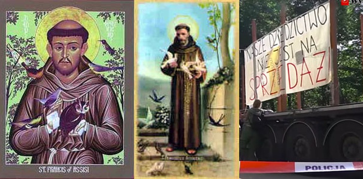 Franciszek z Asyżu - Święty ekolog - zdjęcie