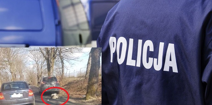 Szokujące! Policja zatrzymała byłego senatora PiS za znęcanie się nad psem ze szczególnym okrucieństwem - zdjęcie
