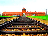 /