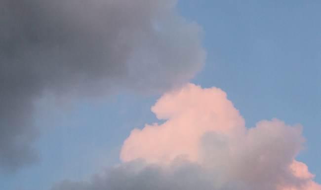 /
