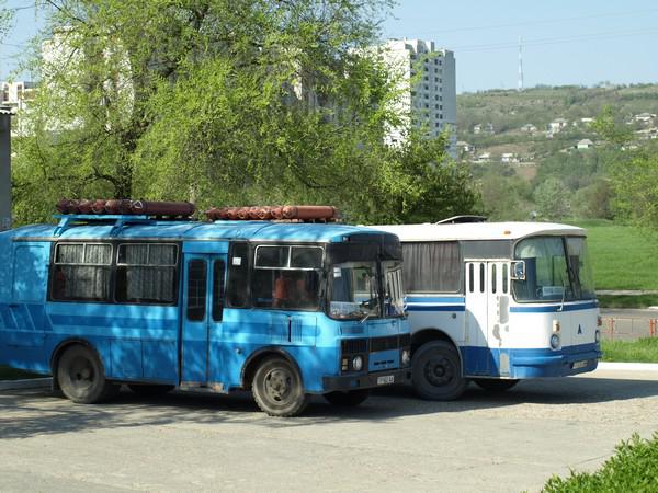 Autobusy komunikacji &bdquo;dalekobieżnej&rdquo;; na pierwszym planie PAZ  3205, na drugim ŁAZ 695. W tle Rybnica.